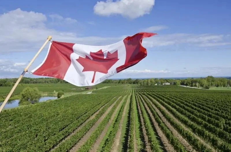 20241029173913 20241029173913