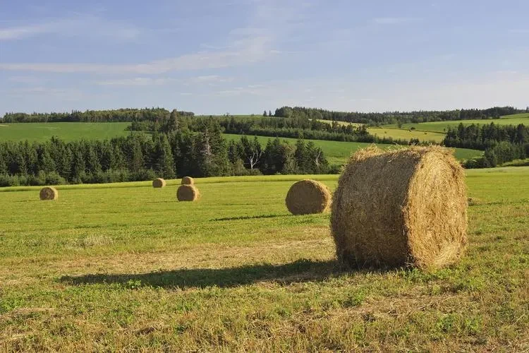 u971328917925068477fm253fmtauto u971328917925068477fm253fmtauto