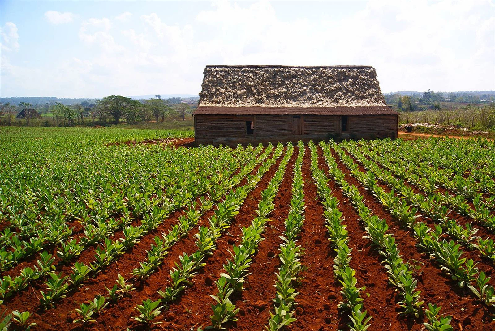 e30c2160cb068aef6832c0ee1765331dh12801 e30c2160cb068aef6832c0ee1765331dh12801