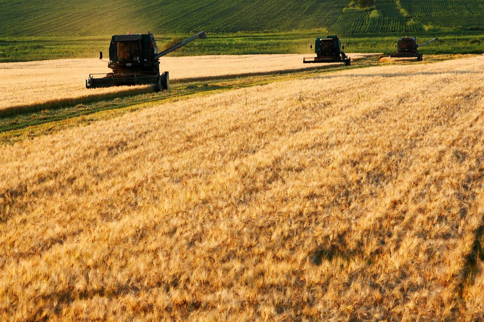 202410291742211 202410291742211