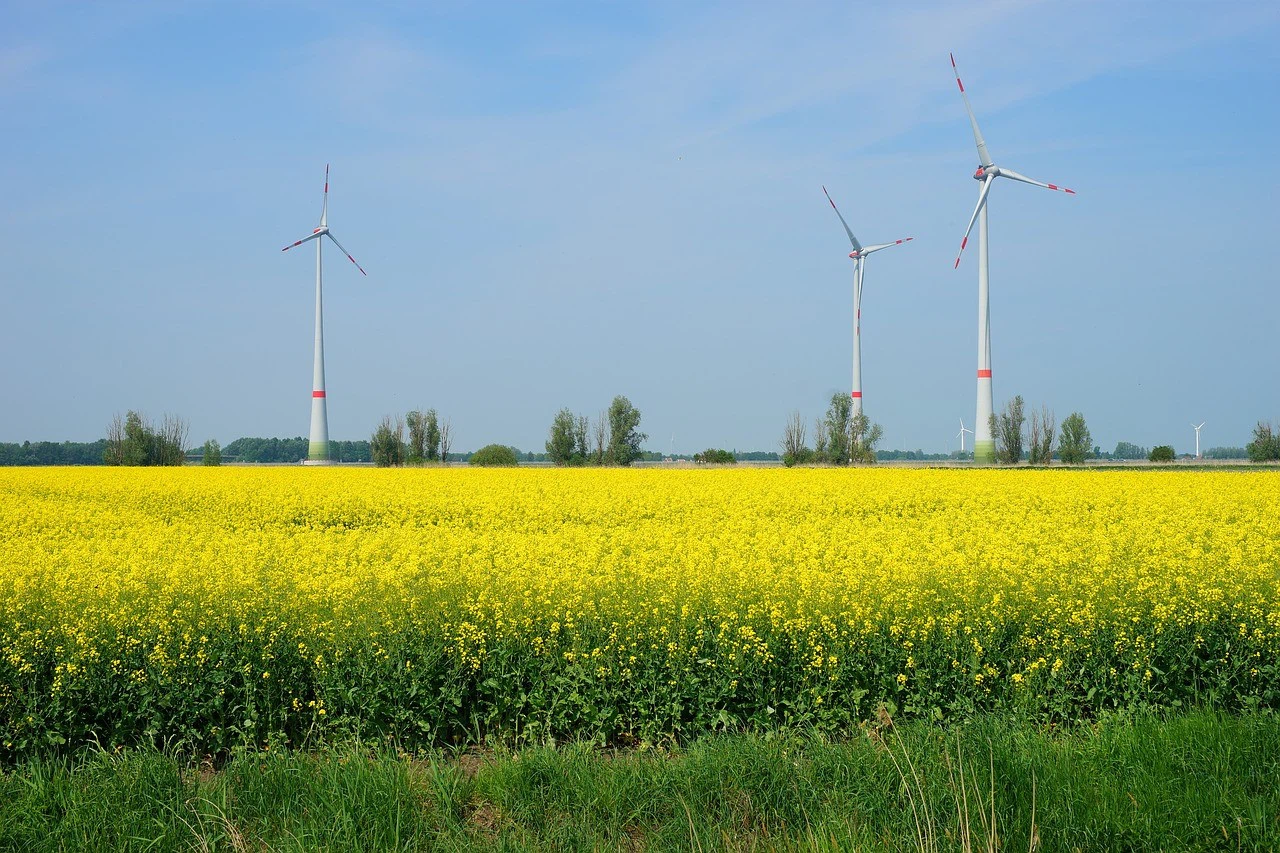 35766840ae14eaf570deb7fa249637ce 35766840ae14eaf570deb7fa249637ce