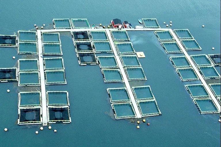 2ff8-b84c74ff50d32b257420452f3e03de61 2ff8-b84c74ff50d32b257420452f3e03de61